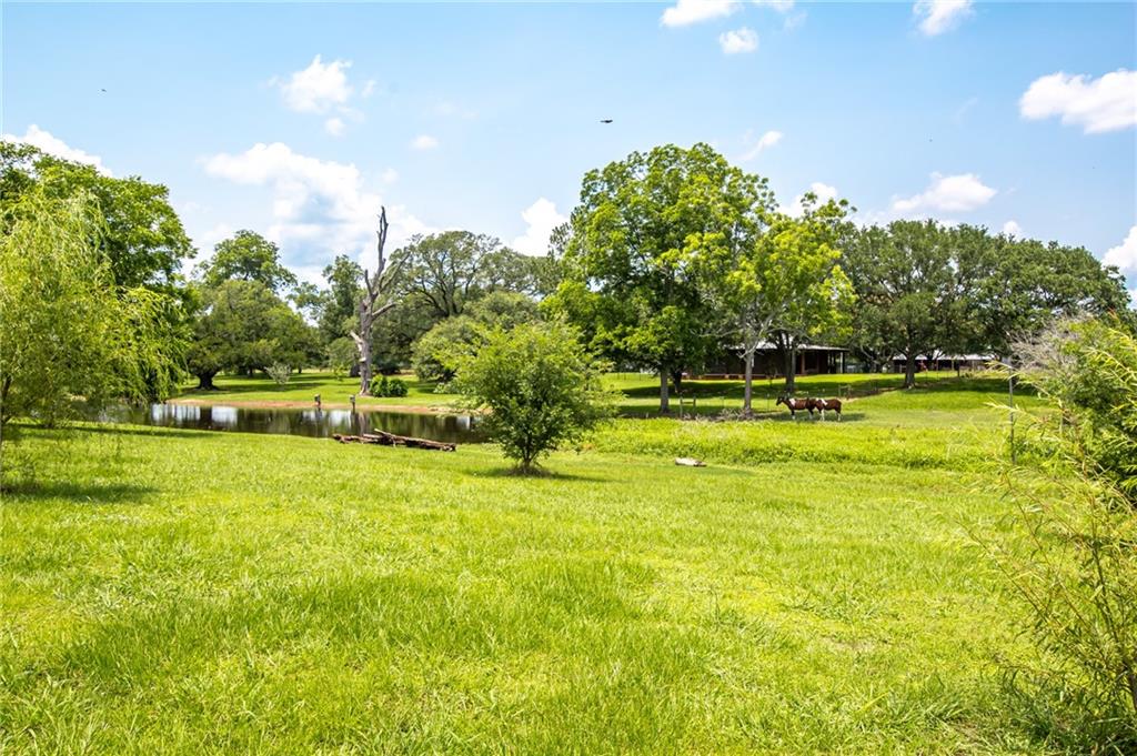 15 Van Mol Road Alexandria, LA 71302 - Photo 38 of 39 Gallery Image 38