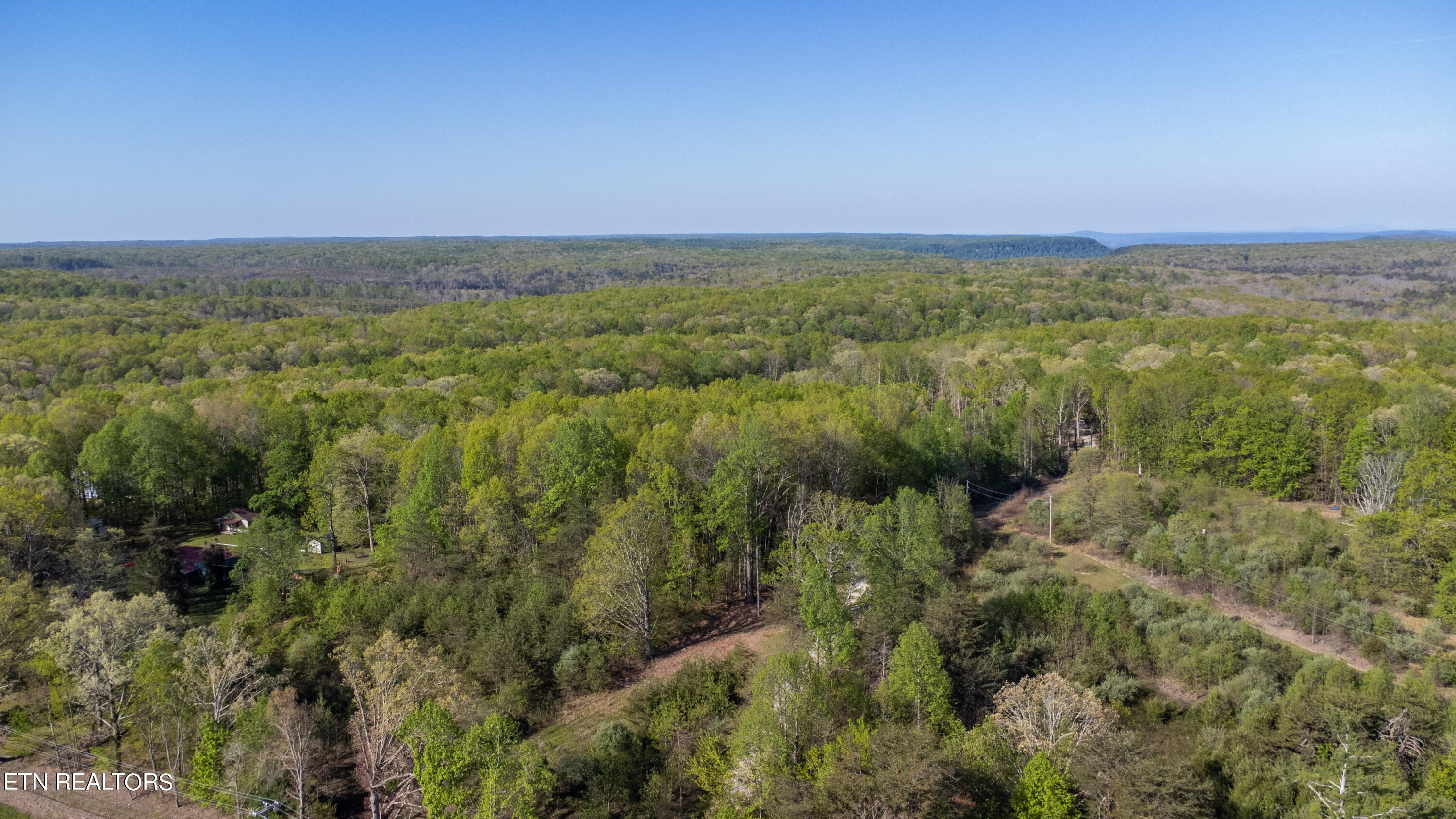 What If Road Monterey, TN 38574 - Photo 2 of 19 whatif 2