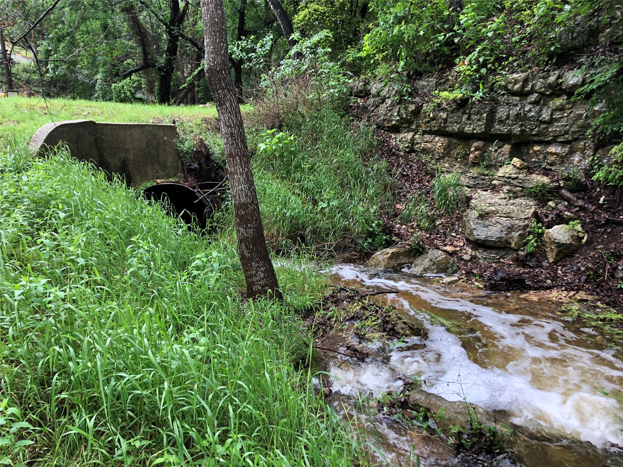 903 The High Road Austin, TX 78746 - Photo 2 of 37 a view of outdoor space and yard