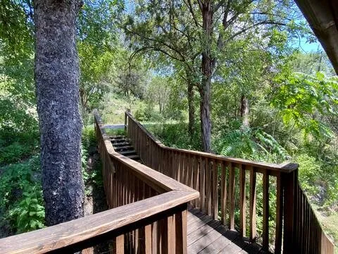 a view of trees and deck in the forest