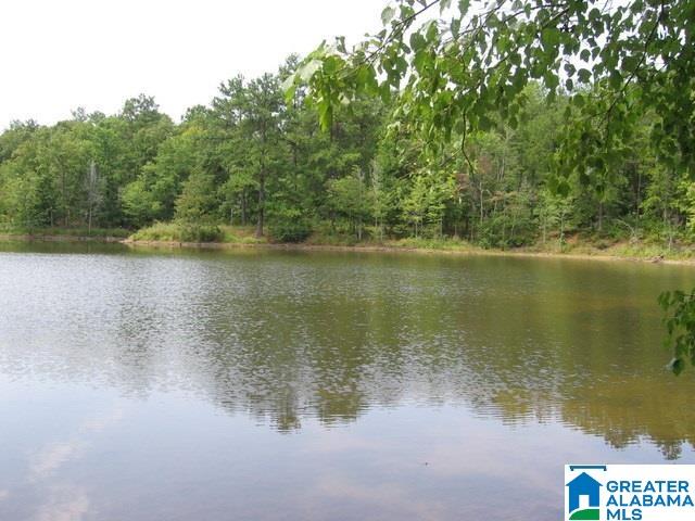 Paradise Lake Road, Unit 2 Vance, AL 35490 - Photo 5 of 10 Gallery Image 5