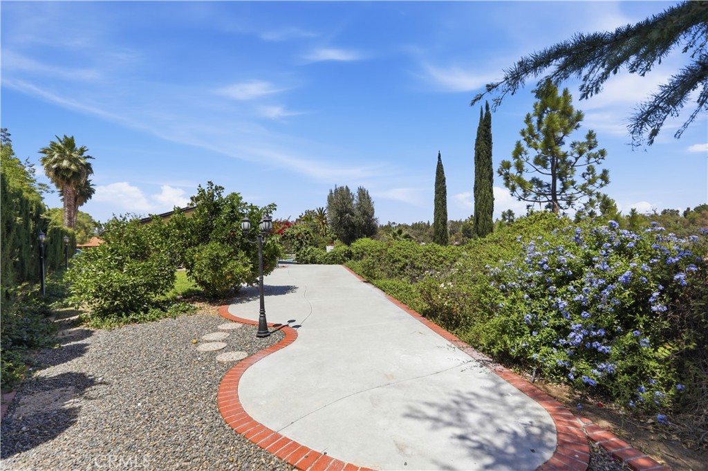 700 Vía Concepcion Riverside, CA 92506 - Photo 5 of 47