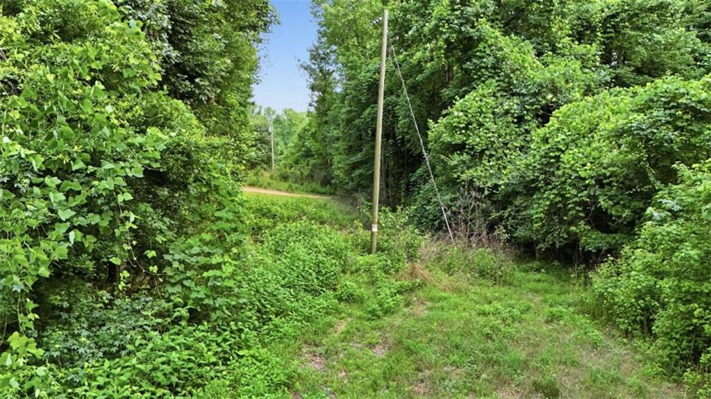 0 Lord Road Commerce, GA 30530 - Photo 12 of 21 Gallery Image 12