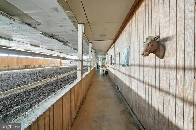 a view of a table and chairs in the garden