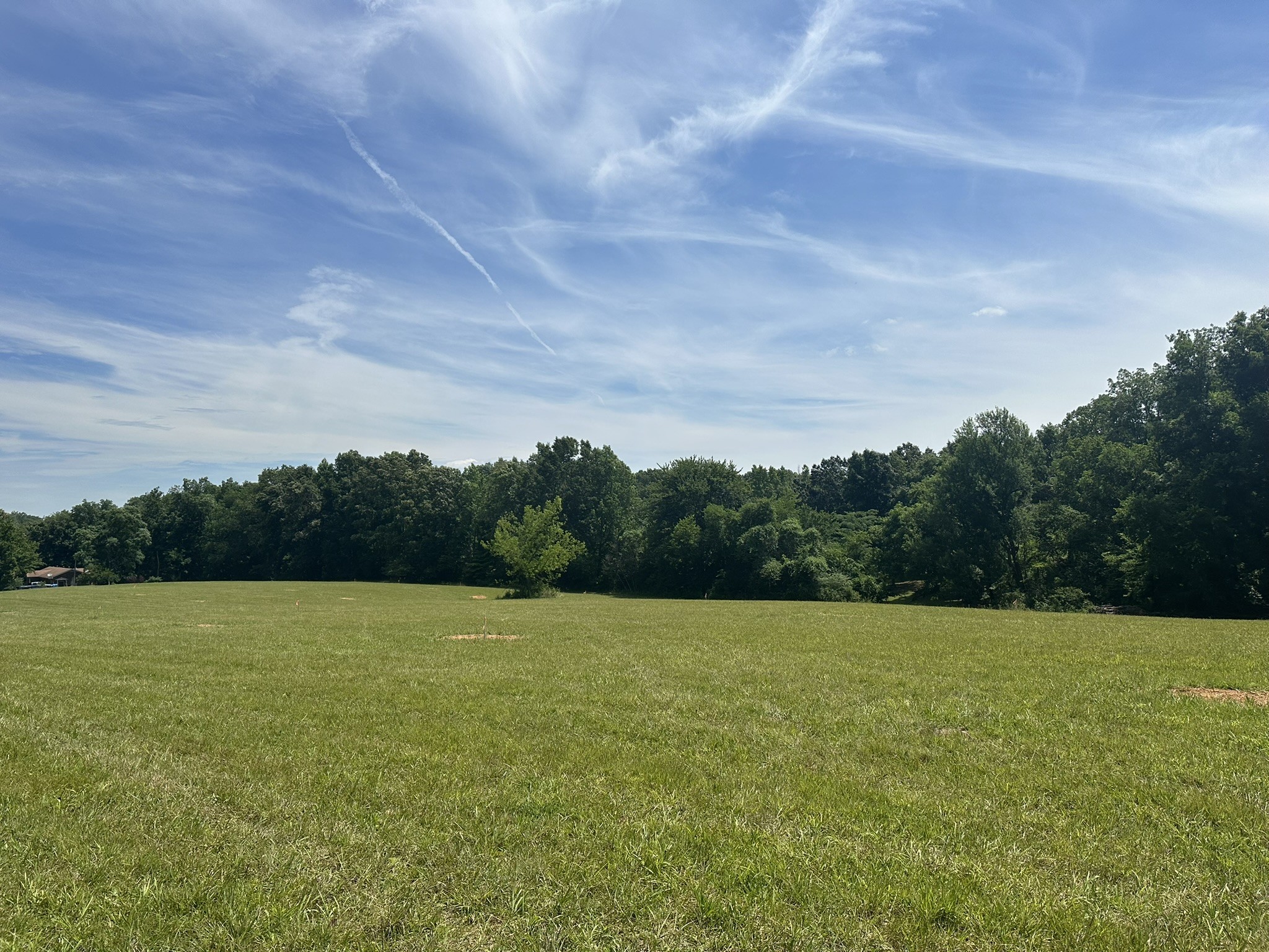 2 Somerville Road Cross Plains, TN 37049 - Photo 4 of 6