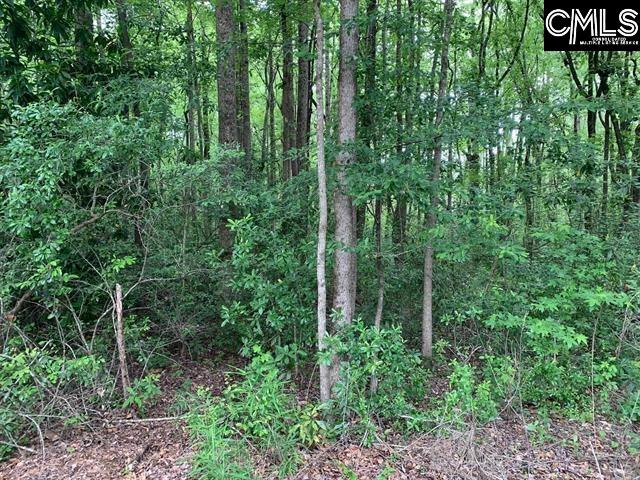 436 Peach Festival Road Gilbert, SC 29054 - Photo 7 of 7 a view of forest