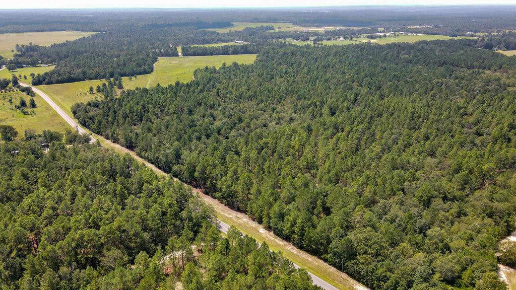 13.962-acr State Park Road Windsor, SC 29856 - Photo 2 of 9