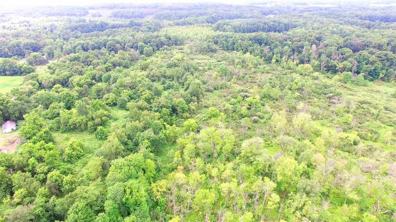 Savage Road Jones, MI 49061 - Photo 5 of 10