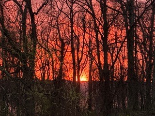 333 Reef Point Circle Webster, NY 14580 - Photo 48 of 49