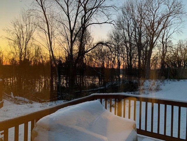 333 Reef Point Circle Webster, NY 14580 - Photo 49 of 49