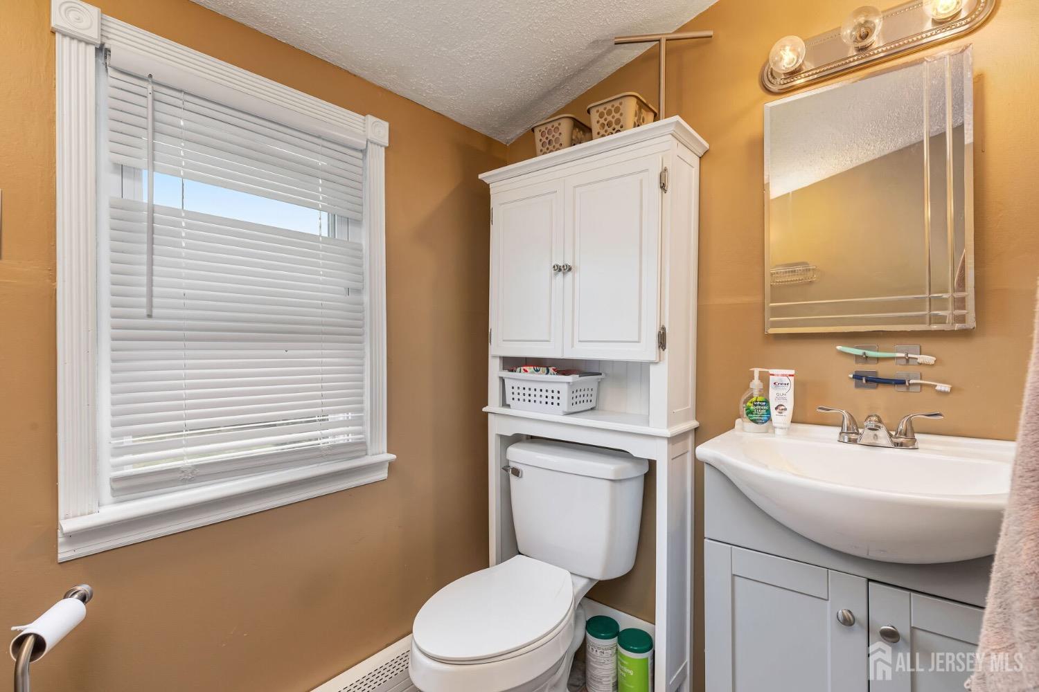 321 Overbrook Road Piscataway, NJ 08854 - Photo 21 of 46 a bathroom with a sink a toilet and a mirror