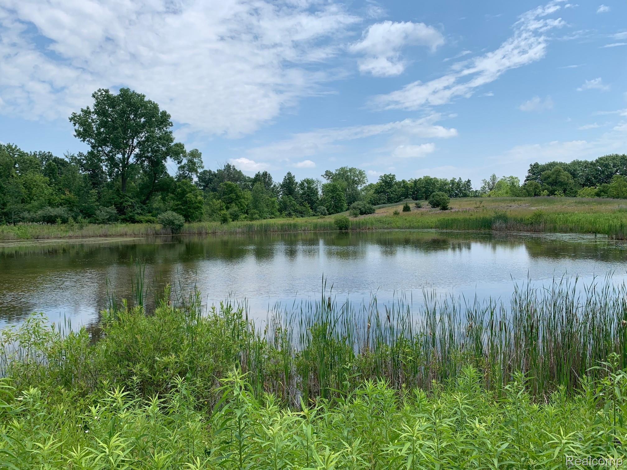 5358 Brookemonte Circle Rochester, MI 48306 - Photo 37 of 38 Nature Pond
