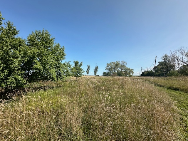 3507 Chicago Road Paw Paw, IL 61353 - Photo 3 of 6 a view of outdoor space and yard