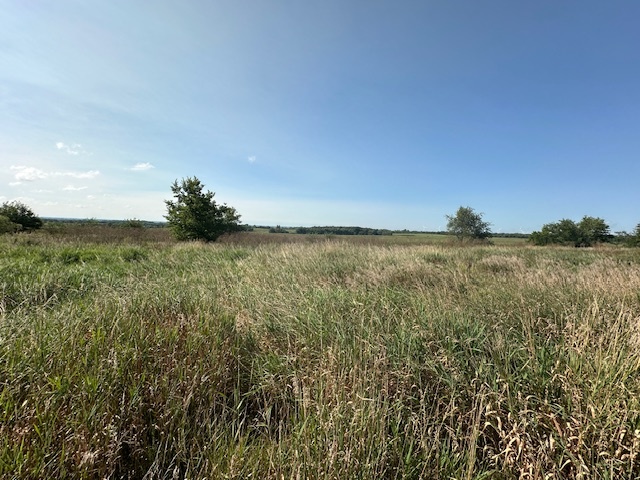 3507 Chicago Road Paw Paw, IL 61353 - Photo 4 of 6 a view of a lake from a yard