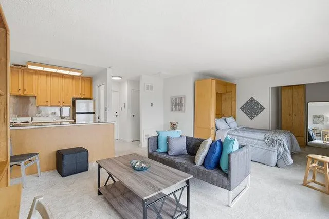 $470,000 | 814 North Delaware Street, Unit 508, San Mateo, CA 94401