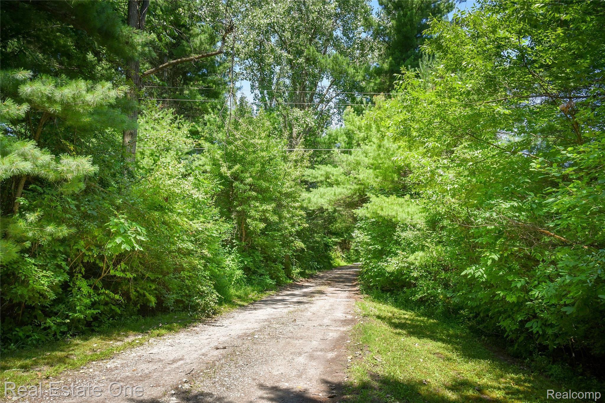5620 Klettner Road St. Clair, MI 48079 - Photo 30 of 30 St Clair for Amanda Eller WCB (175).jpg