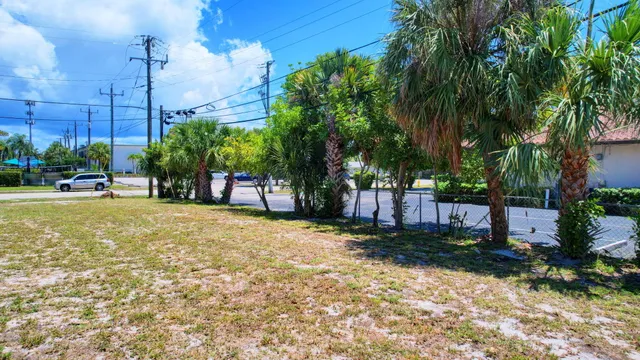a view of a yard with plants and trees