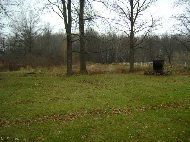 36390 Chestnut Ridge Road North Ridgeville, OH 44039 - Photo 3 of 19