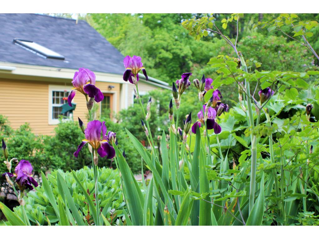 3491 Underpass Road Sutton, VT 05867 - Photo 21 of 25 Gallery Image 21