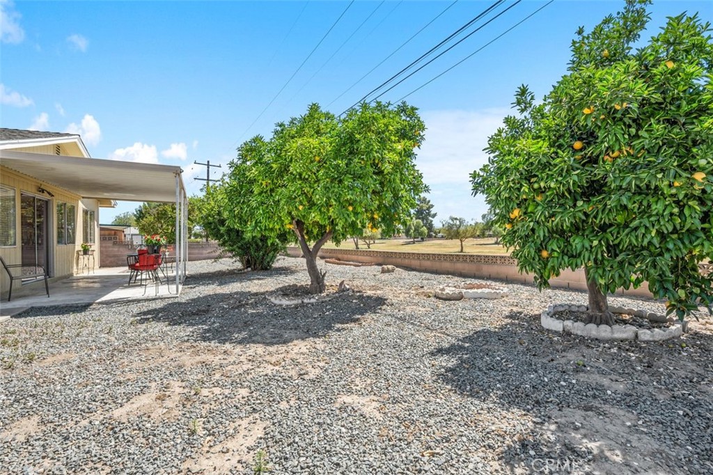 26480 Ridgemoor Road Menifee, CA 92586 - Photo 16 of 32 a view of a yard with potted plants