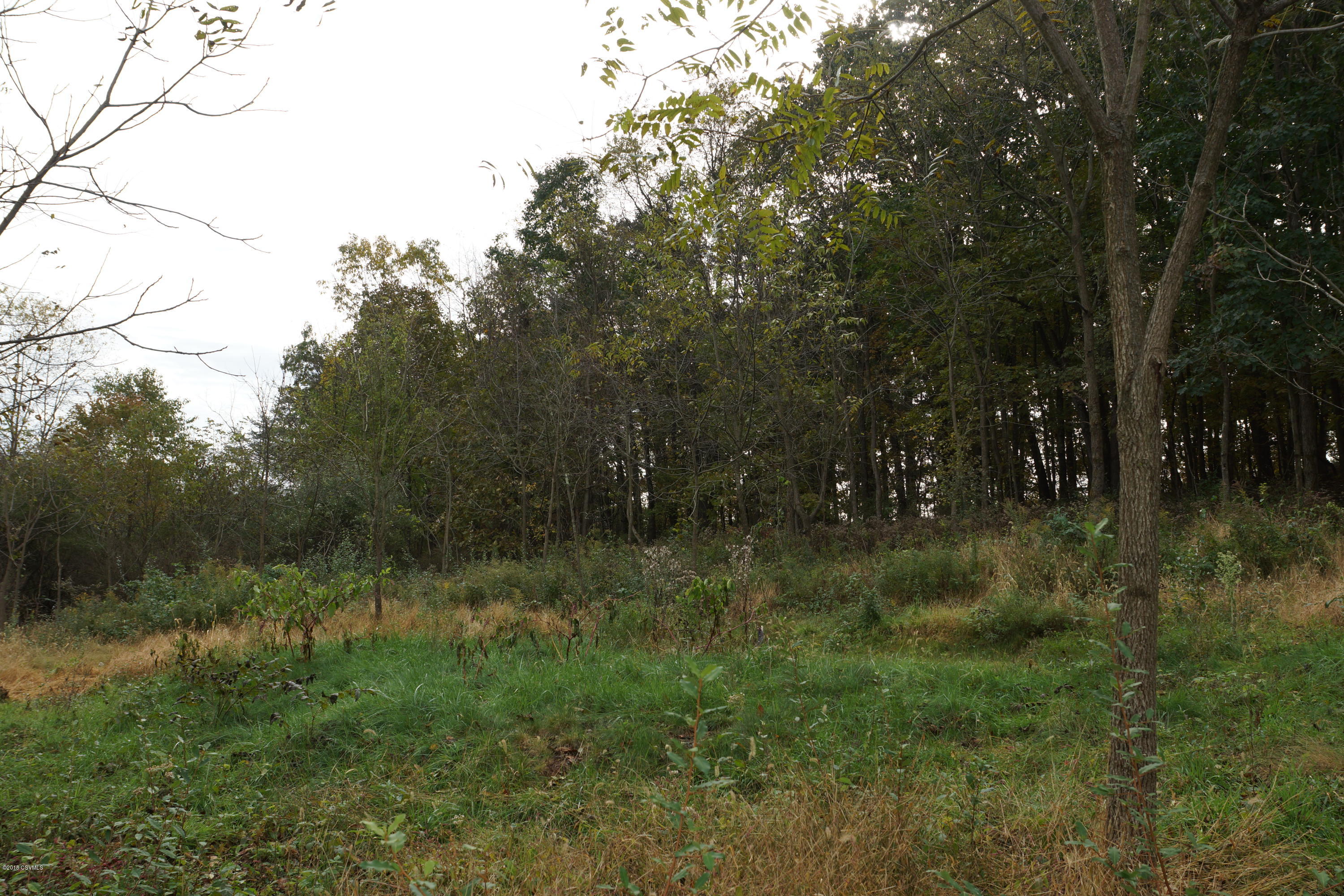 Lot 4 Milroy Road New Columbia, PA 17856 - Photo 13 of 27