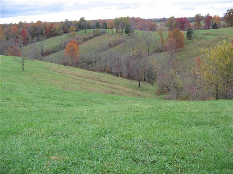 1210 Ashby Road Lawrenceburg, KY 40342 - Photo 12 of 17 Photo 12