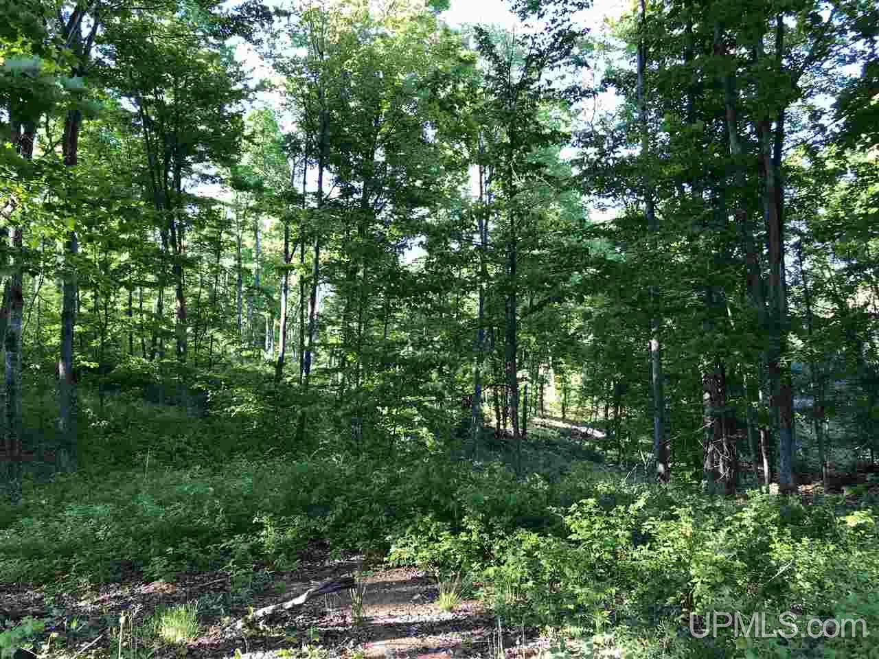 2353 Co Rd 442 Rapid River, MI 49878 - Photo 10 of 20