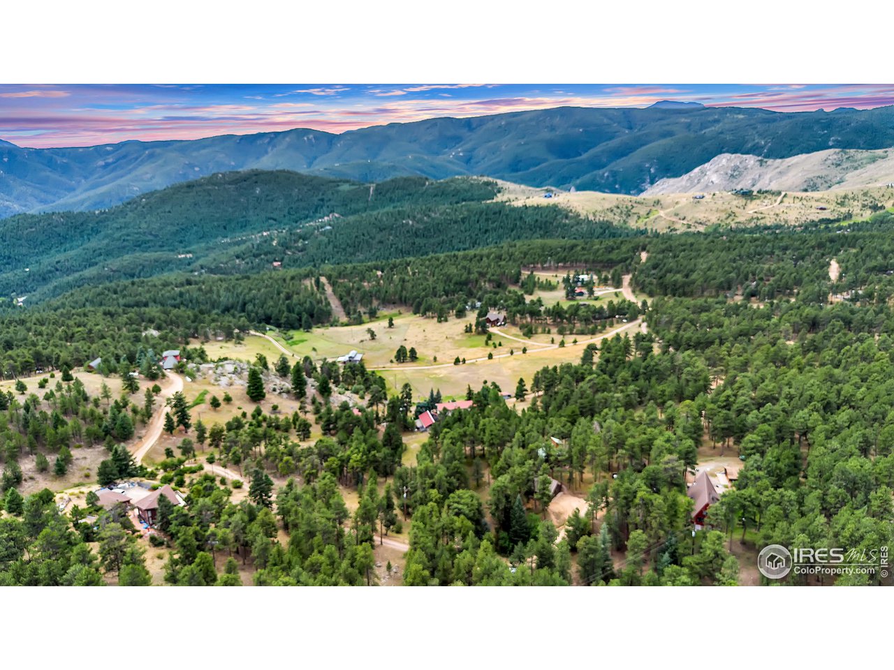 926 Mountain Meadows Road Boulder, CO 80302 - Photo 37 of 38 a black and white photo of a forest
