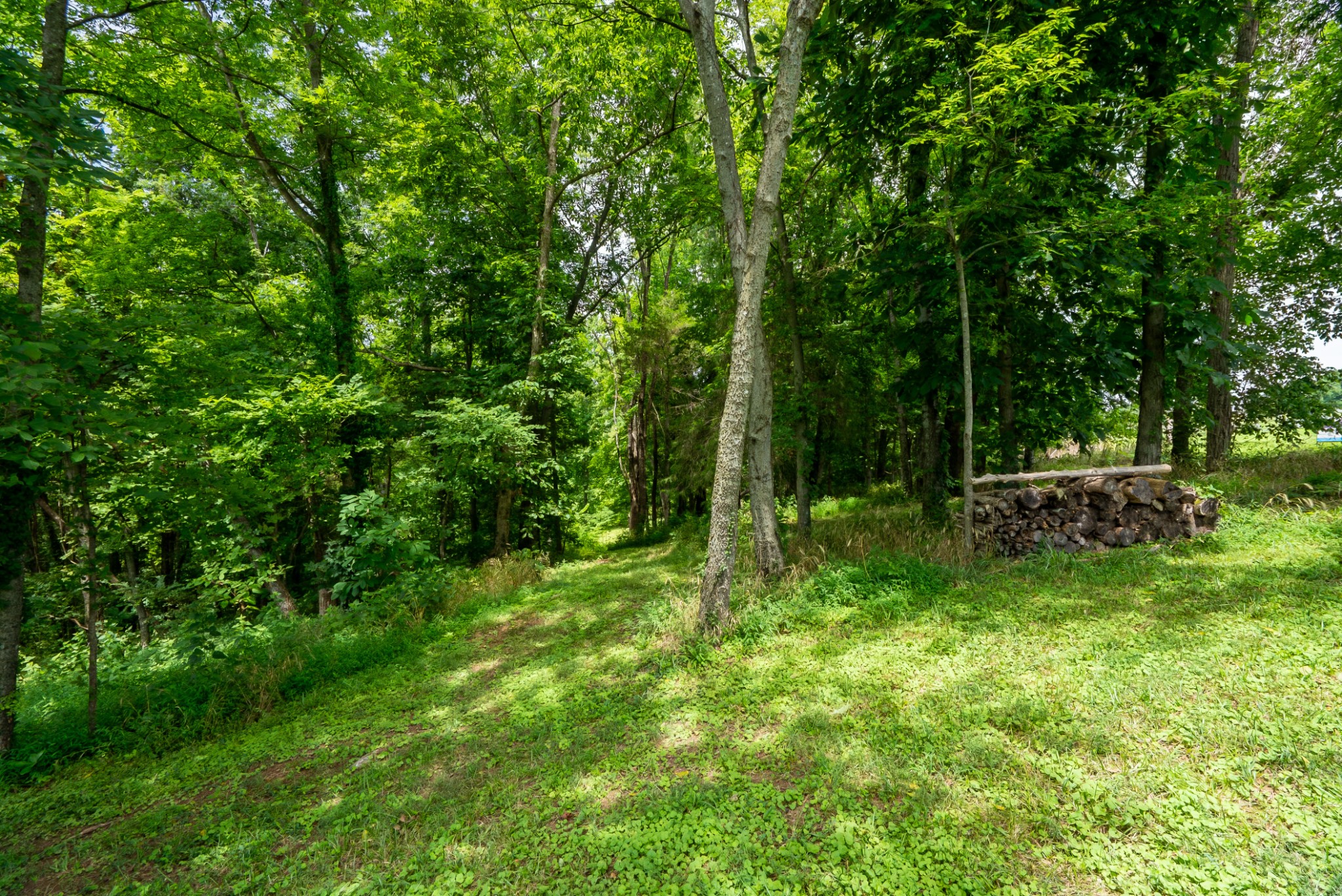 0 Bethlehem Road Springfield, TN 37172 - Photo 10 of 41 Gallery Image 10