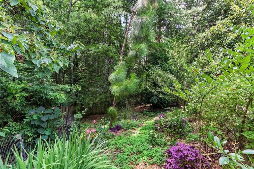 120 Quarrington Court Milton, GA 30004 - Photo 43 of 48 a view of a garden with plants and flowers