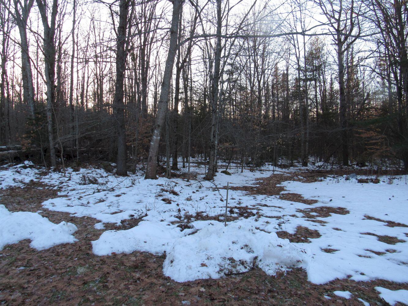 157 Oak Hill Road Norridgewock, ME 04957 - Photo 33 of 35 #30