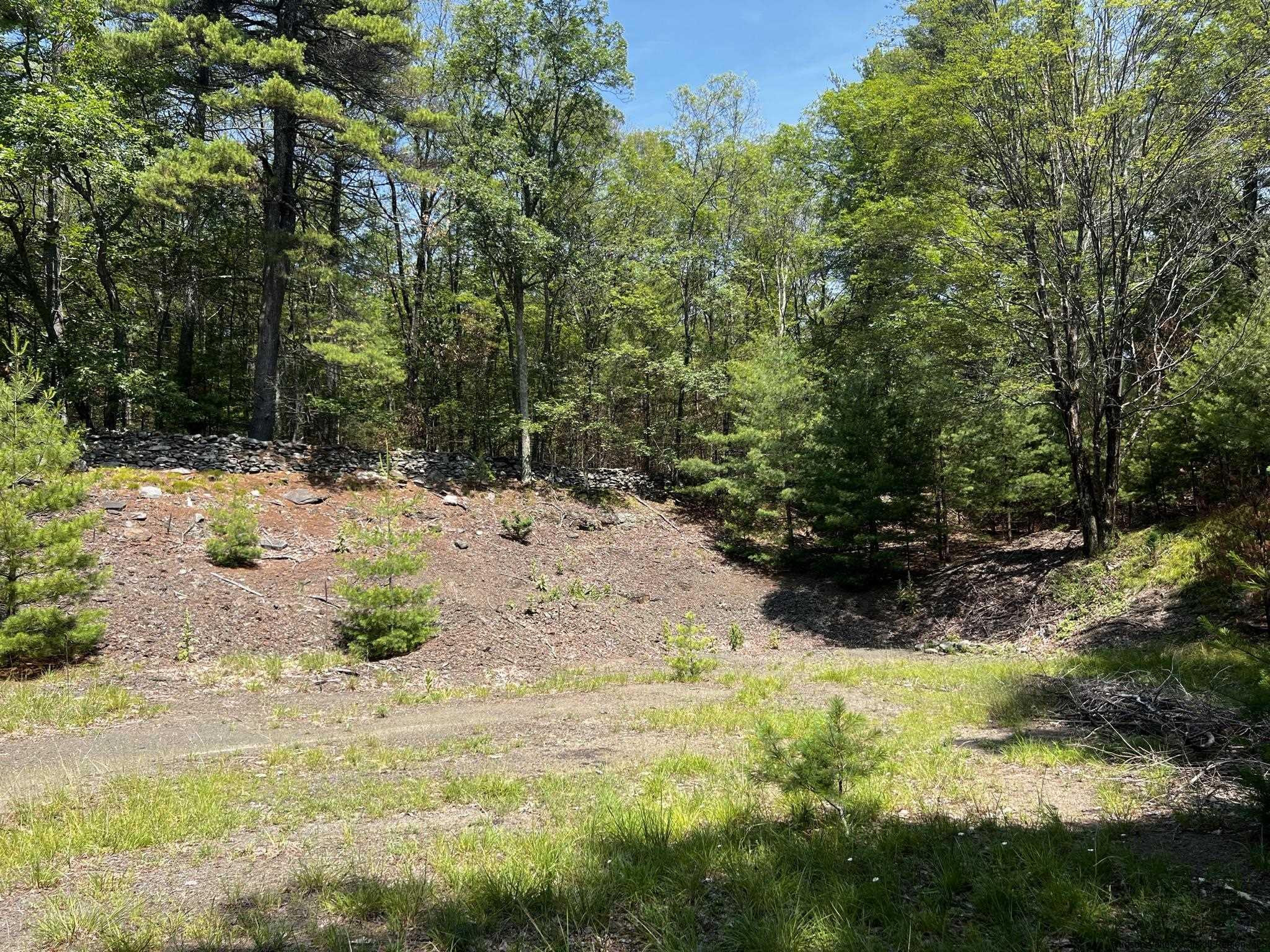 540 Scarawan Road, Unit LOT 3 Stone Ridge, NY 12484 - Photo 11 of 15 Photo 11