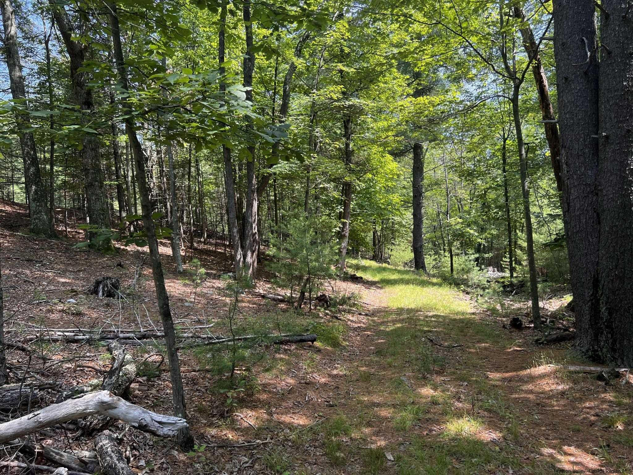 540 Scarawan Road, Unit LOT 3 Stone Ridge, NY 12484 - Photo 13 of 15 Photo 13