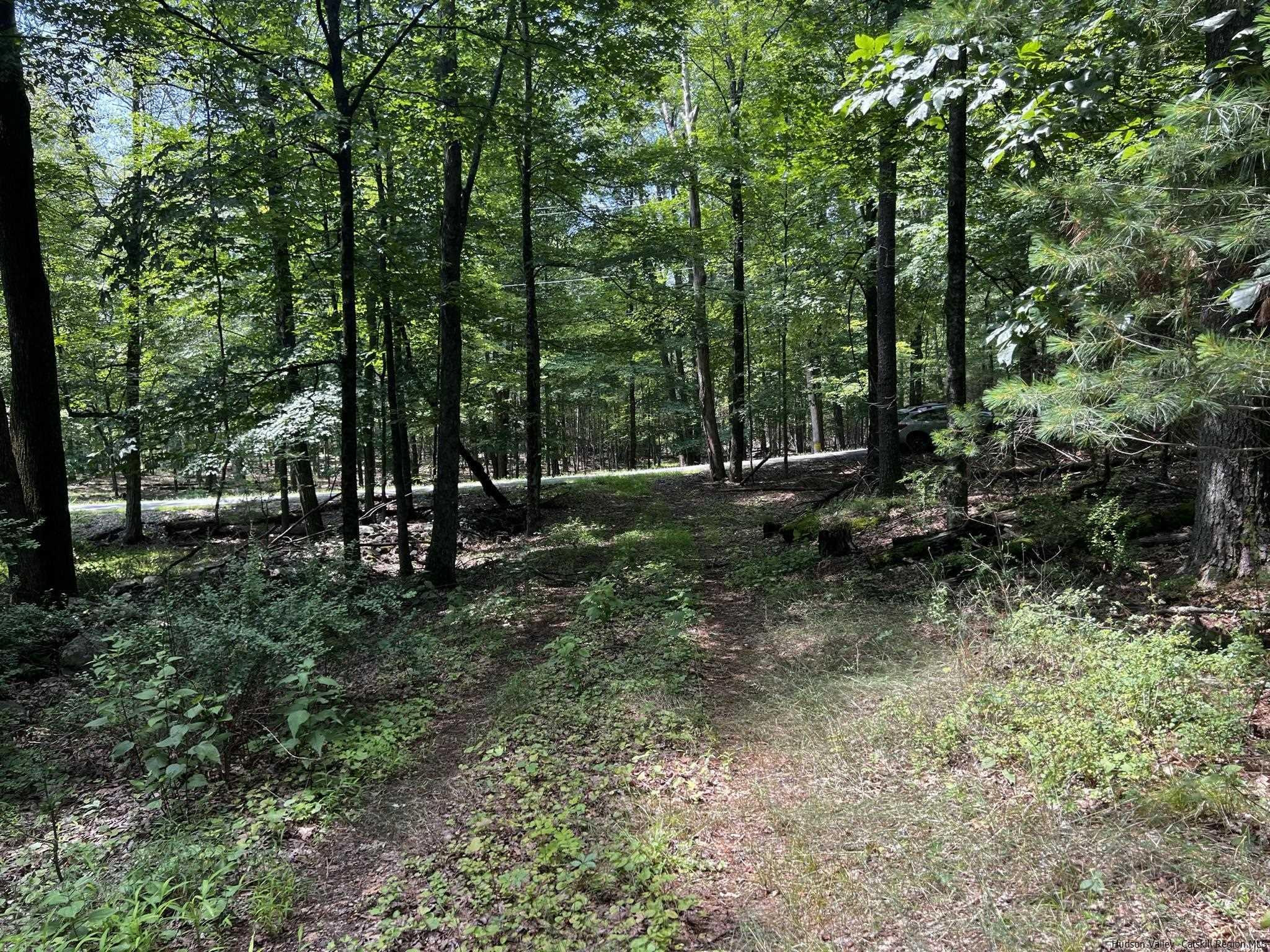 540 Scarawan Road, Unit LOT 3 Stone Ridge, NY 12484 - Photo 14 of 15 Photo 14