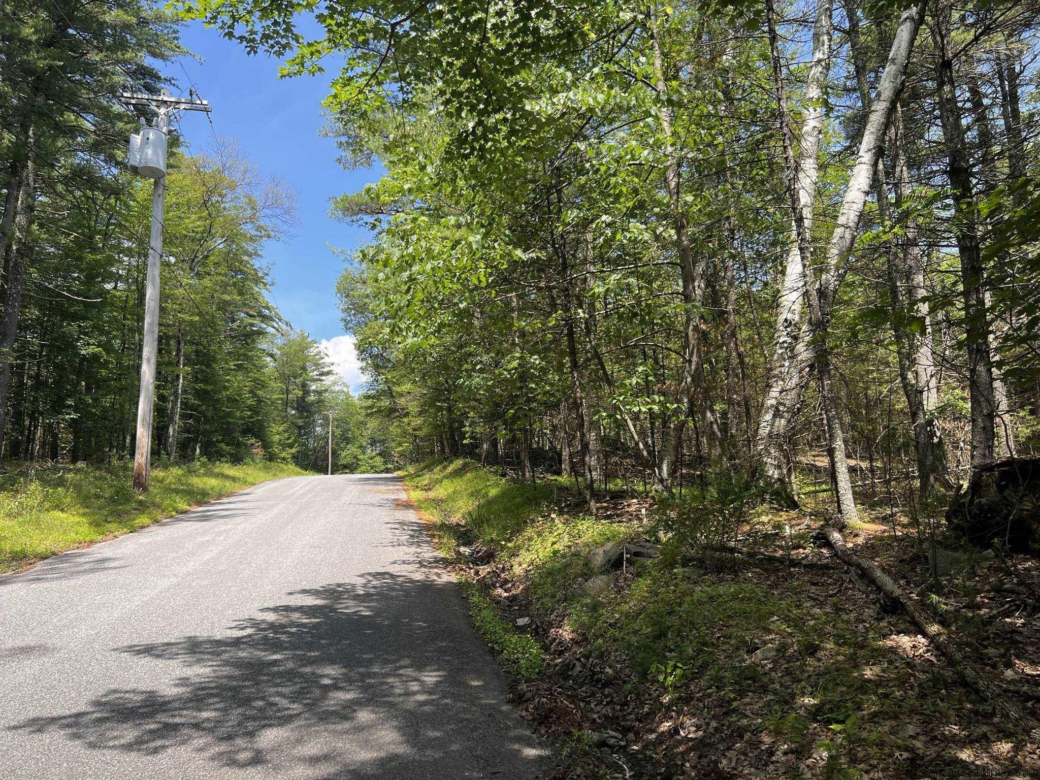 540 Scarawan Road, Unit LOT 3 Stone Ridge, NY 12484 - Photo 15 of 15 Photo 15