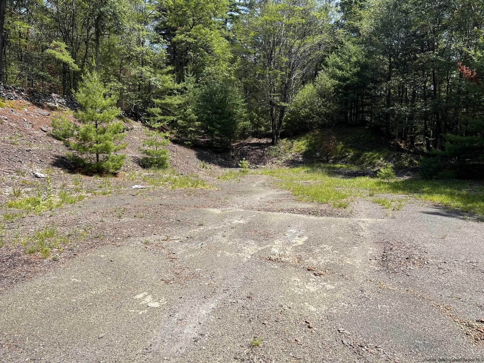 540 Scarawan Road, Unit LOT 3 Stone Ridge, NY 12484 - Photo 3 of 15 Photo 3