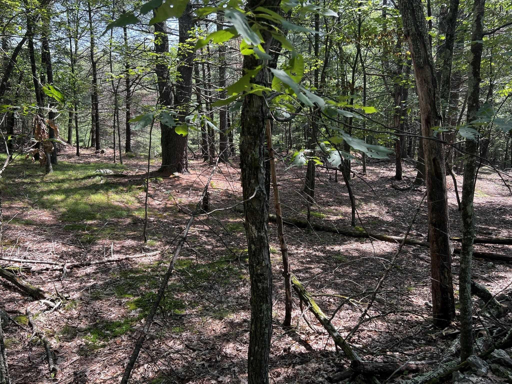 540 Scarawan Road, Unit LOT 3 Stone Ridge, NY 12484 - Photo 6 of 15 Photo 6