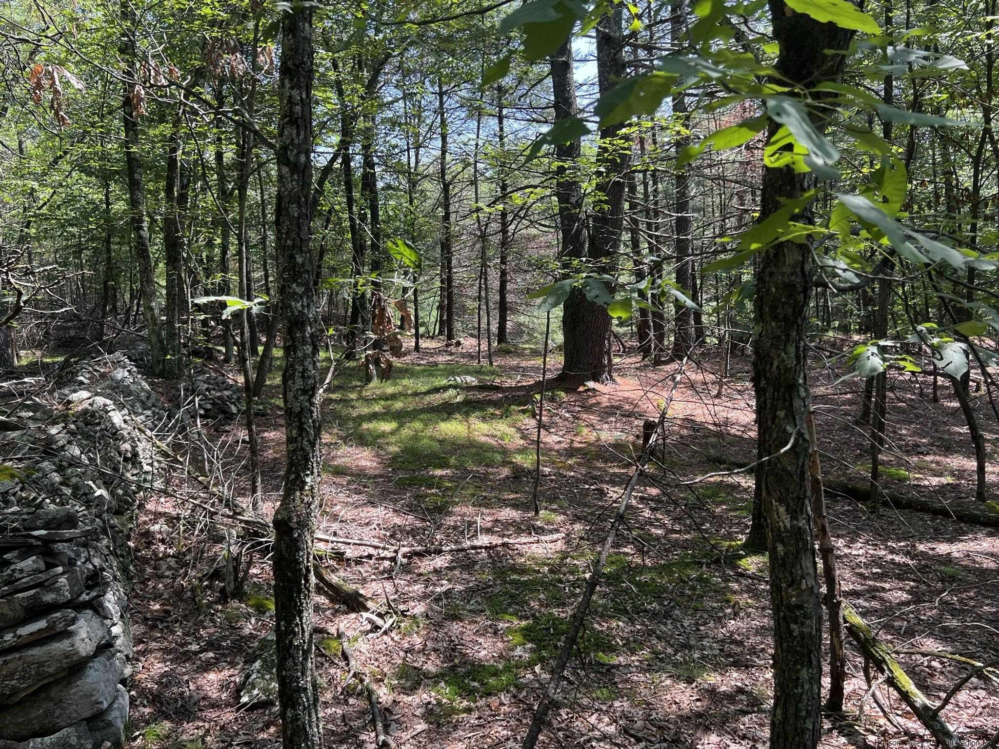 540 Scarawan Road, Unit LOT 3 Stone Ridge, NY 12484 - Photo 7 of 15 Photo 7