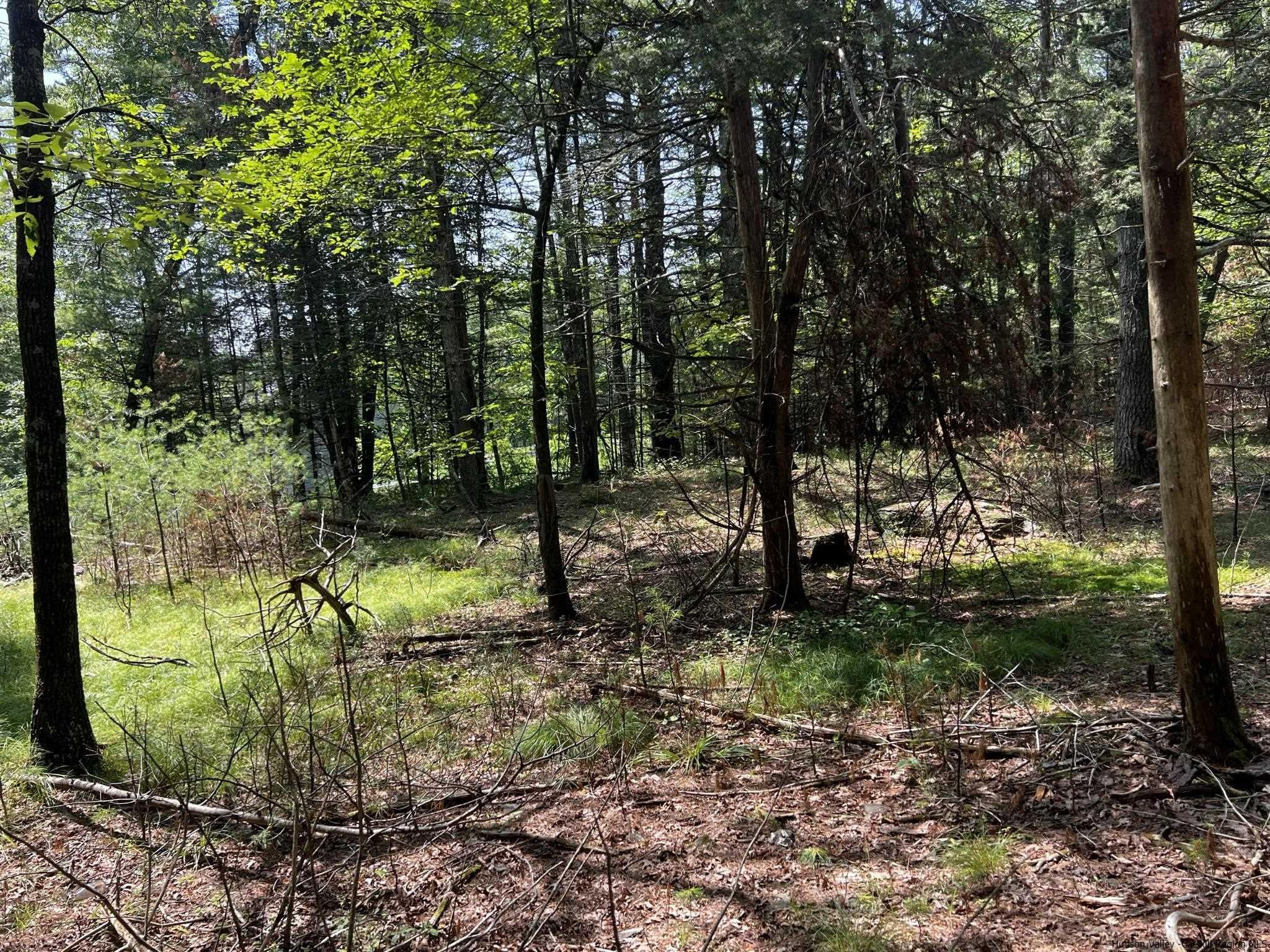 540 Scarawan Road, Unit LOT 3 Stone Ridge, NY 12484 - Photo 8 of 15 Photo 8