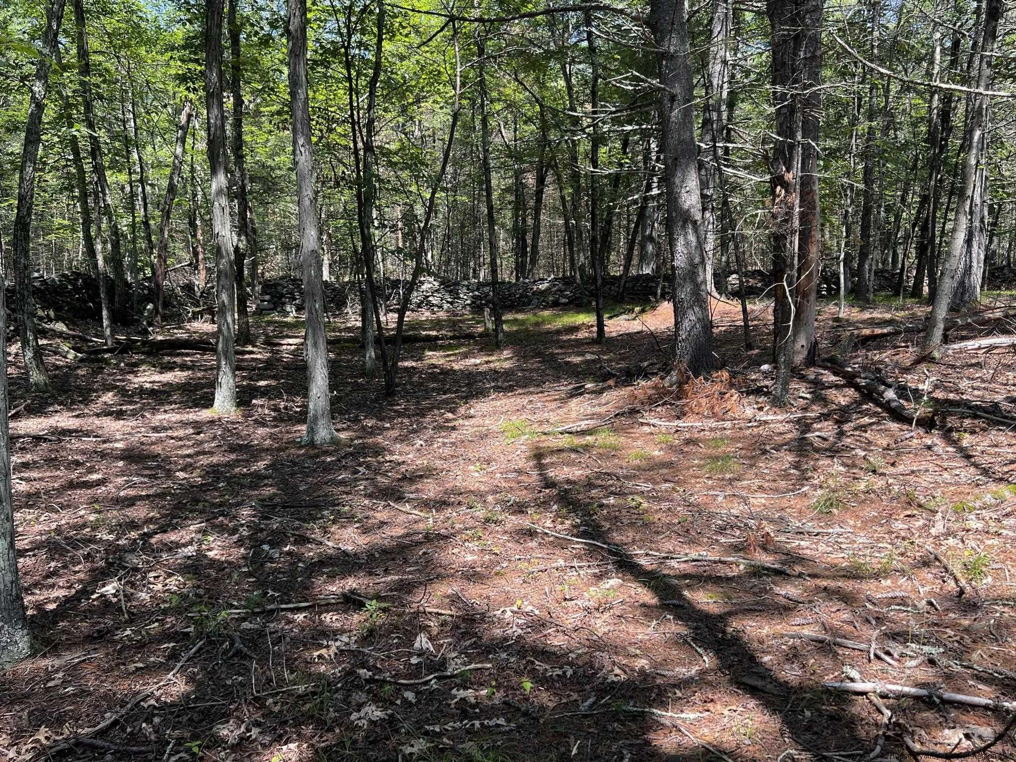 540 Scarawan Road, Unit LOT 3 Stone Ridge, NY 12484 - Photo 9 of 15 Photo 9