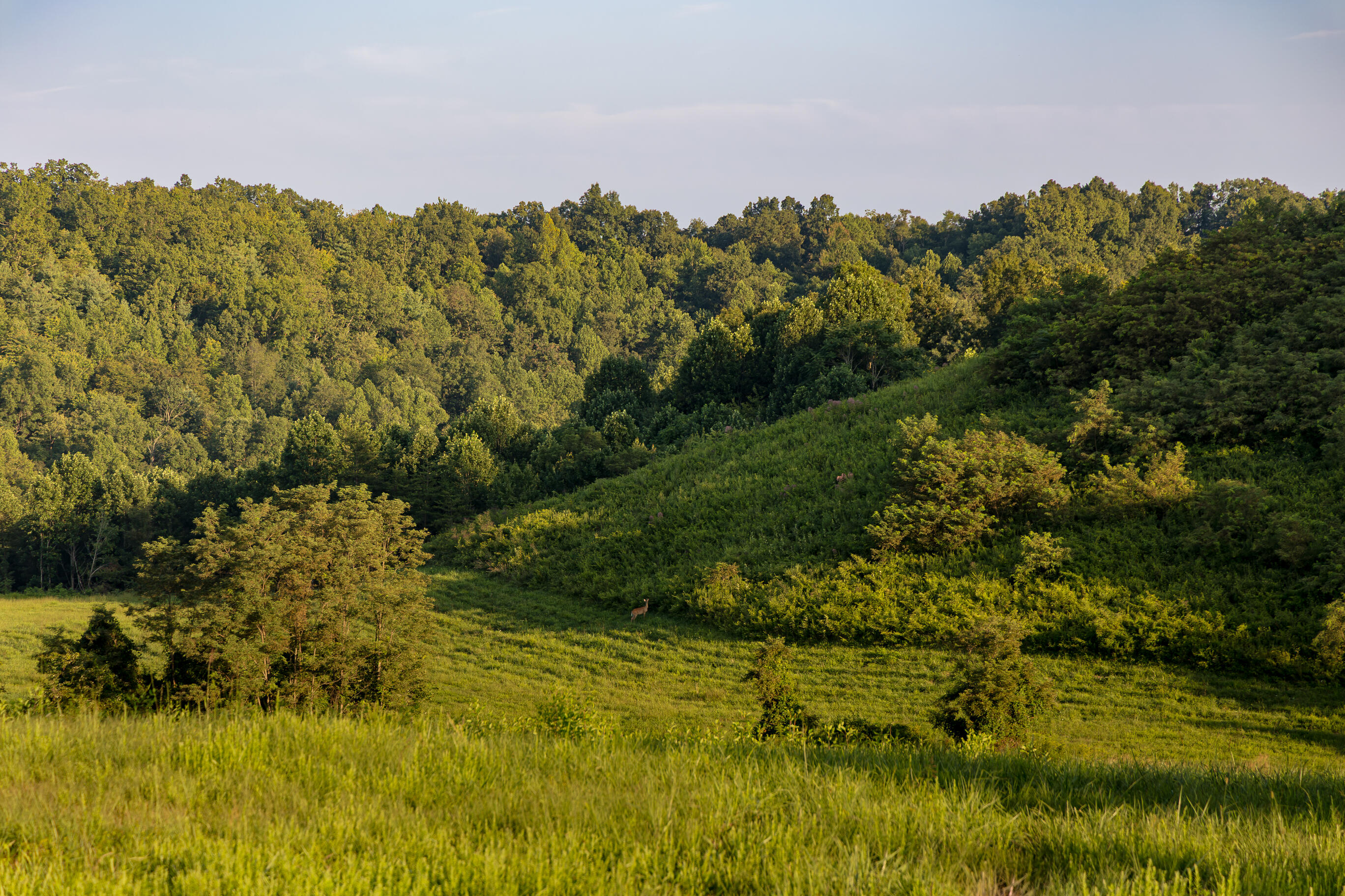 1522 Johnson Fork Road Campton, KY 41301 - Photo 69 of 102 FO7A6168