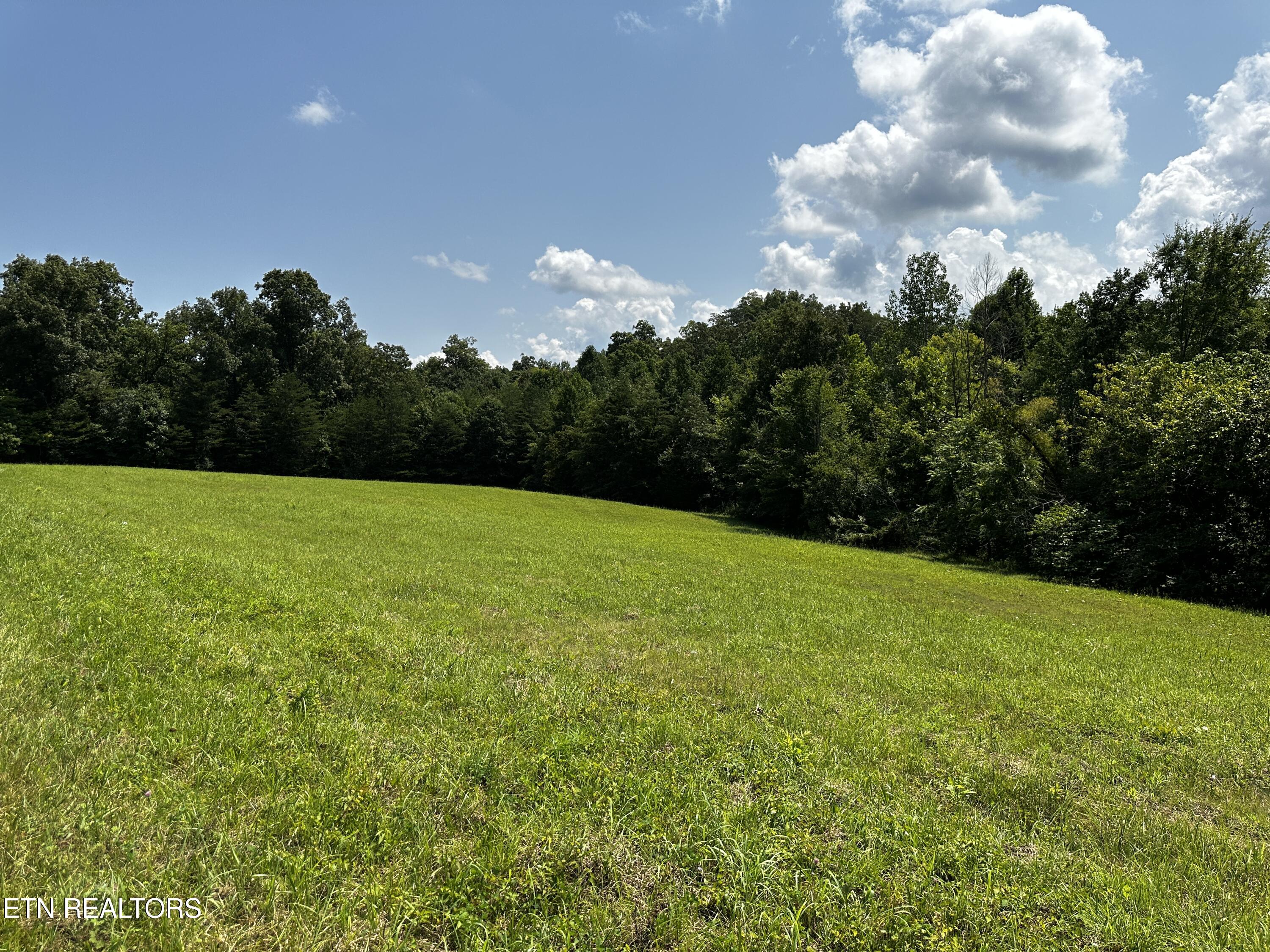 Blockhouse Road Maryville, TN 37803 - Photo 1 of 14 _Main IMG_0669