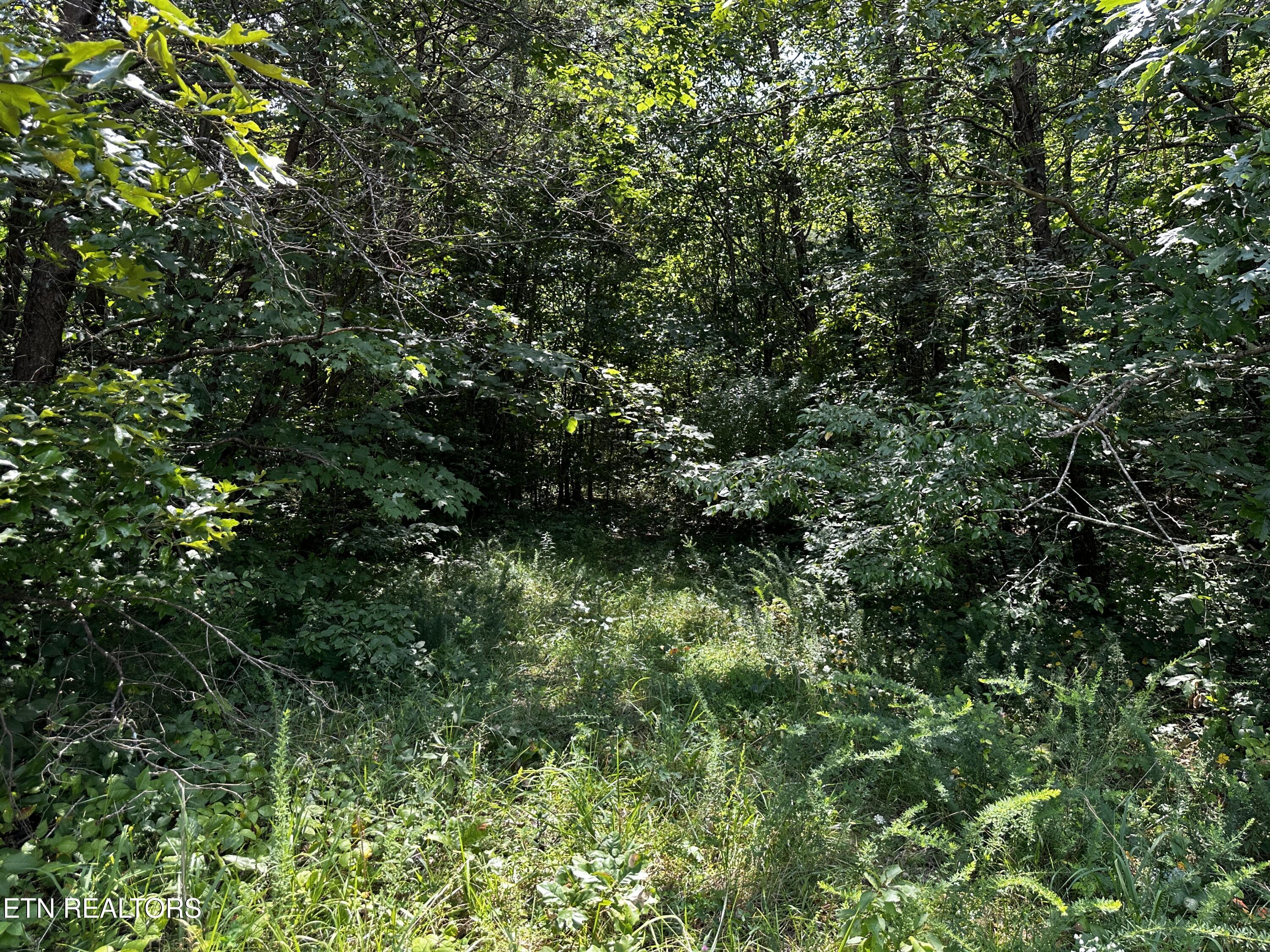 Blockhouse Road Maryville, TN 37803 - Photo 12 of 14 IMG_0673