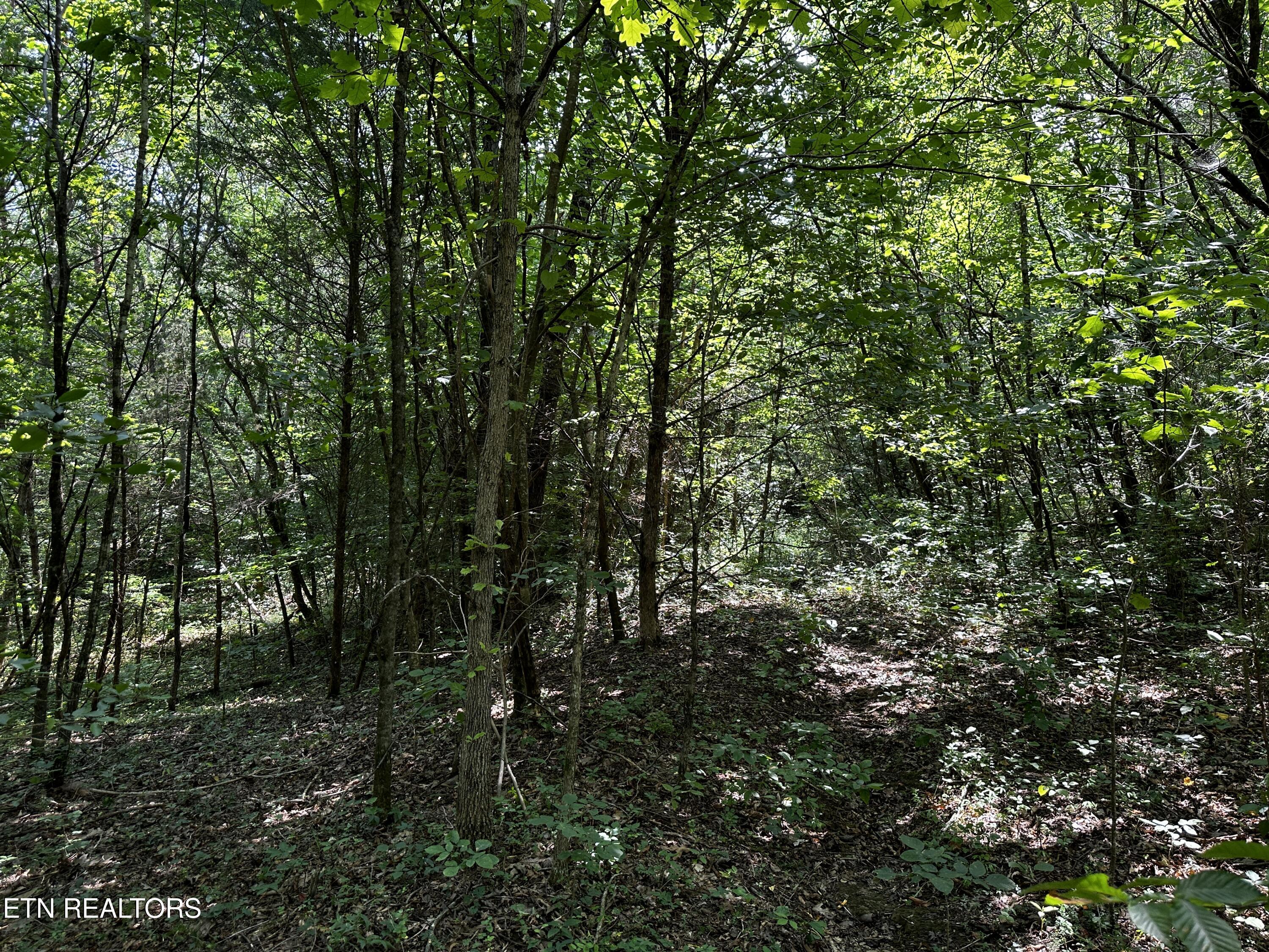 Blockhouse Road Maryville, TN 37803 - Photo 13 of 14 IMG_0674