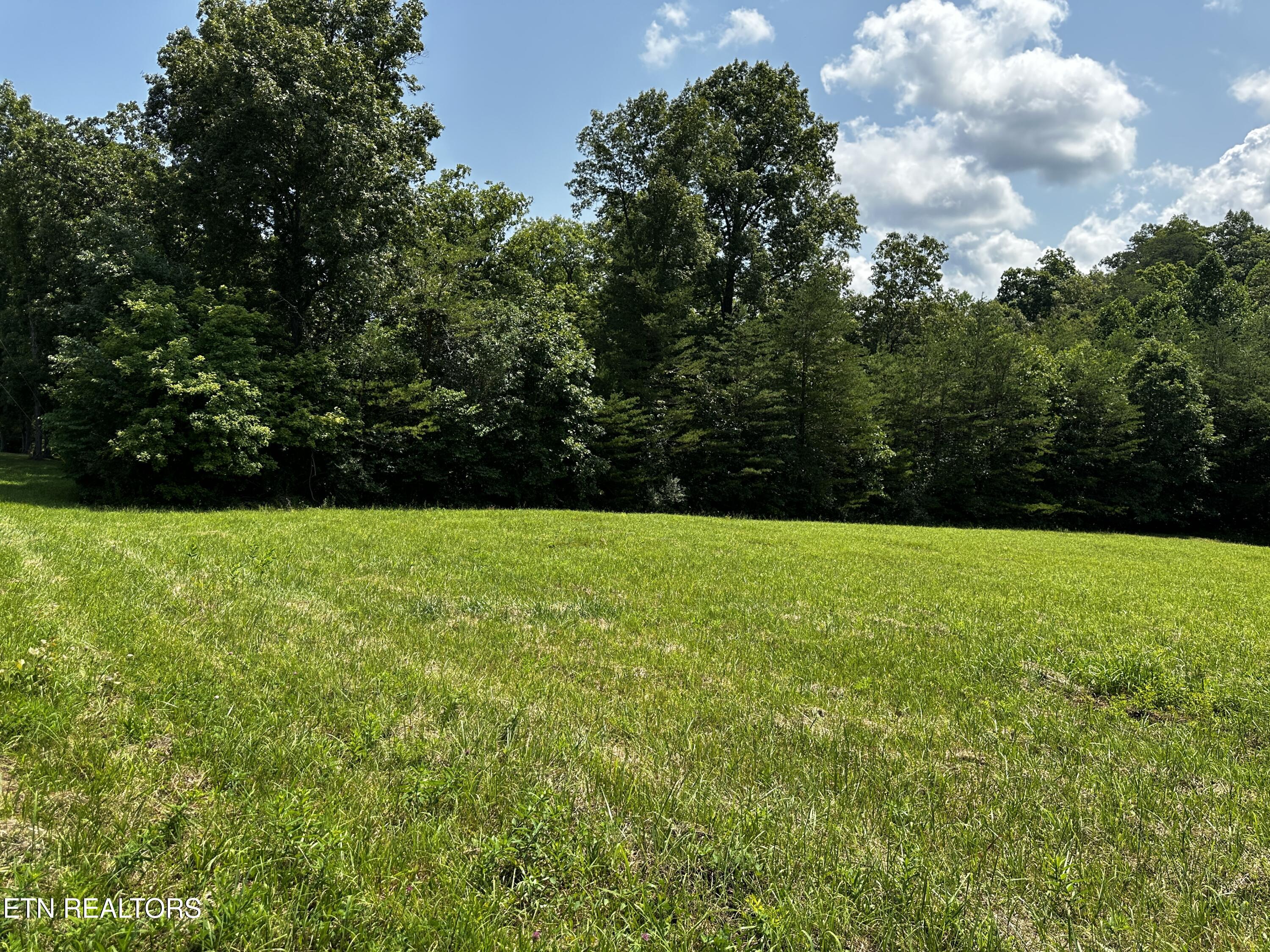 Blockhouse Road Maryville, TN 37803 - Photo 14 of 14 Main Pic IMG_0667