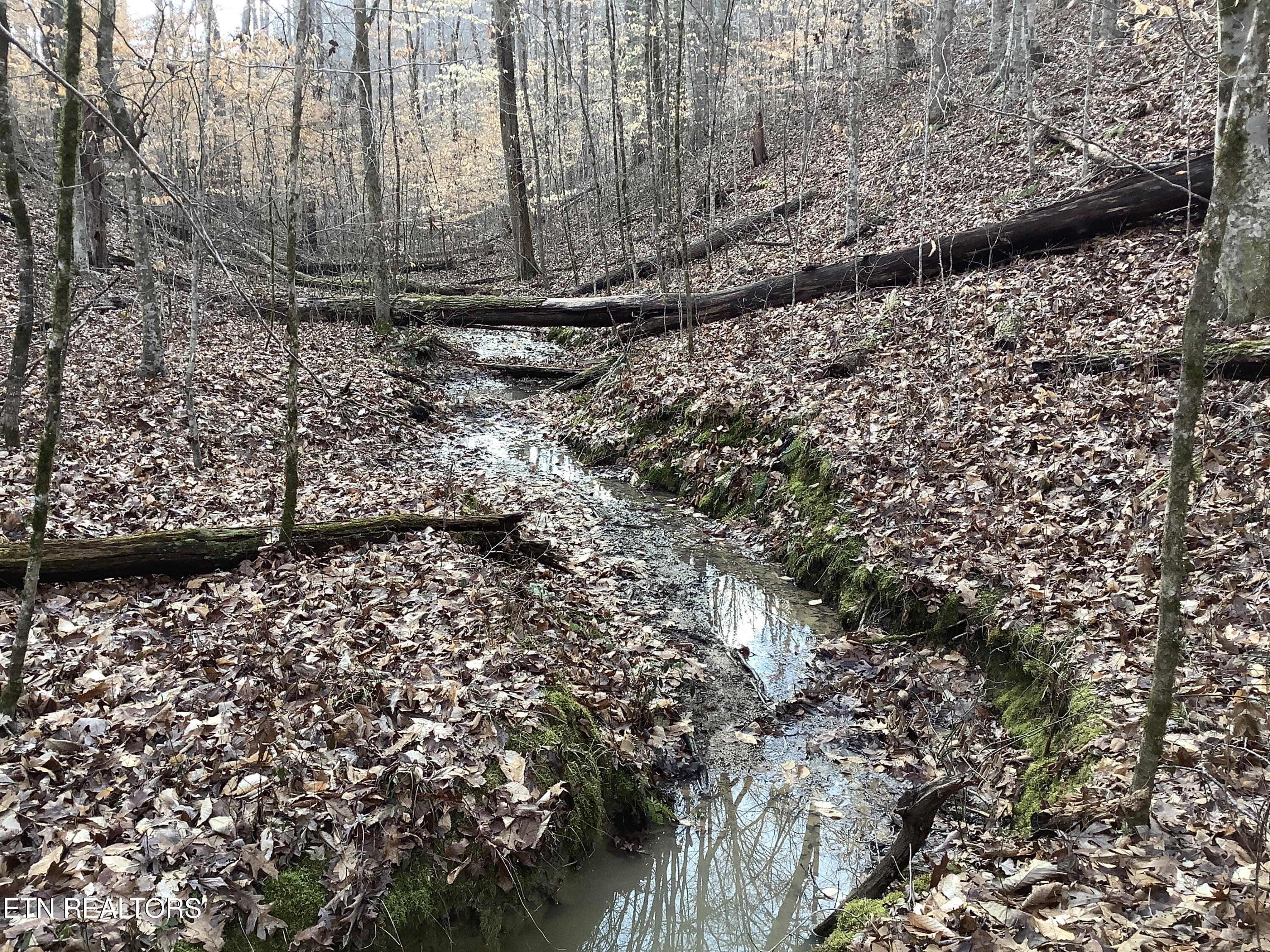 Blockhouse Road Maryville, TN 37803 - Photo 2 of 14 IMG_0323