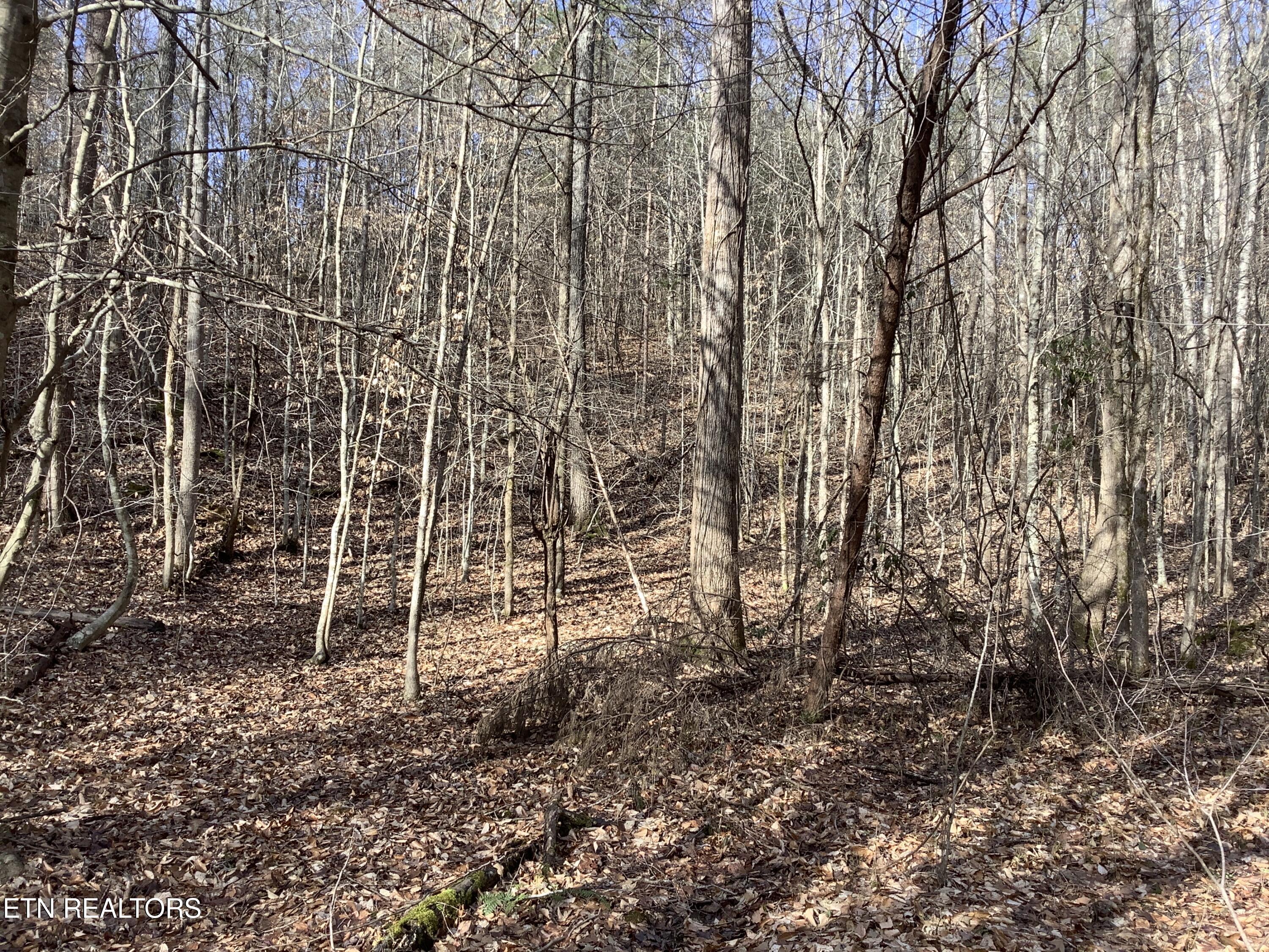Blockhouse Road Maryville, TN 37803 - Photo 3 of 14 IMG_0324