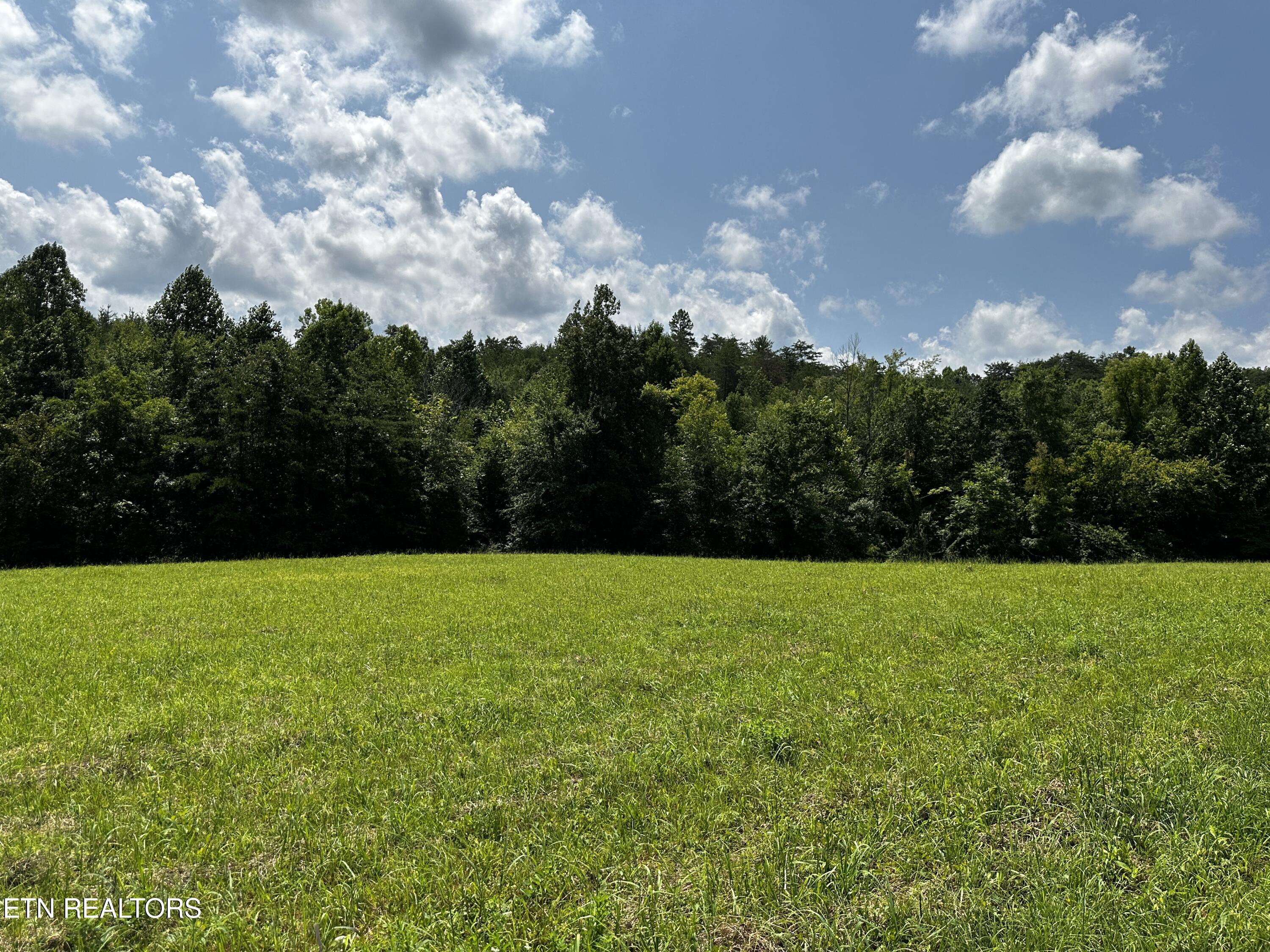 Blockhouse Road Maryville, TN 37803 - Photo 7 of 14 IMG_0666