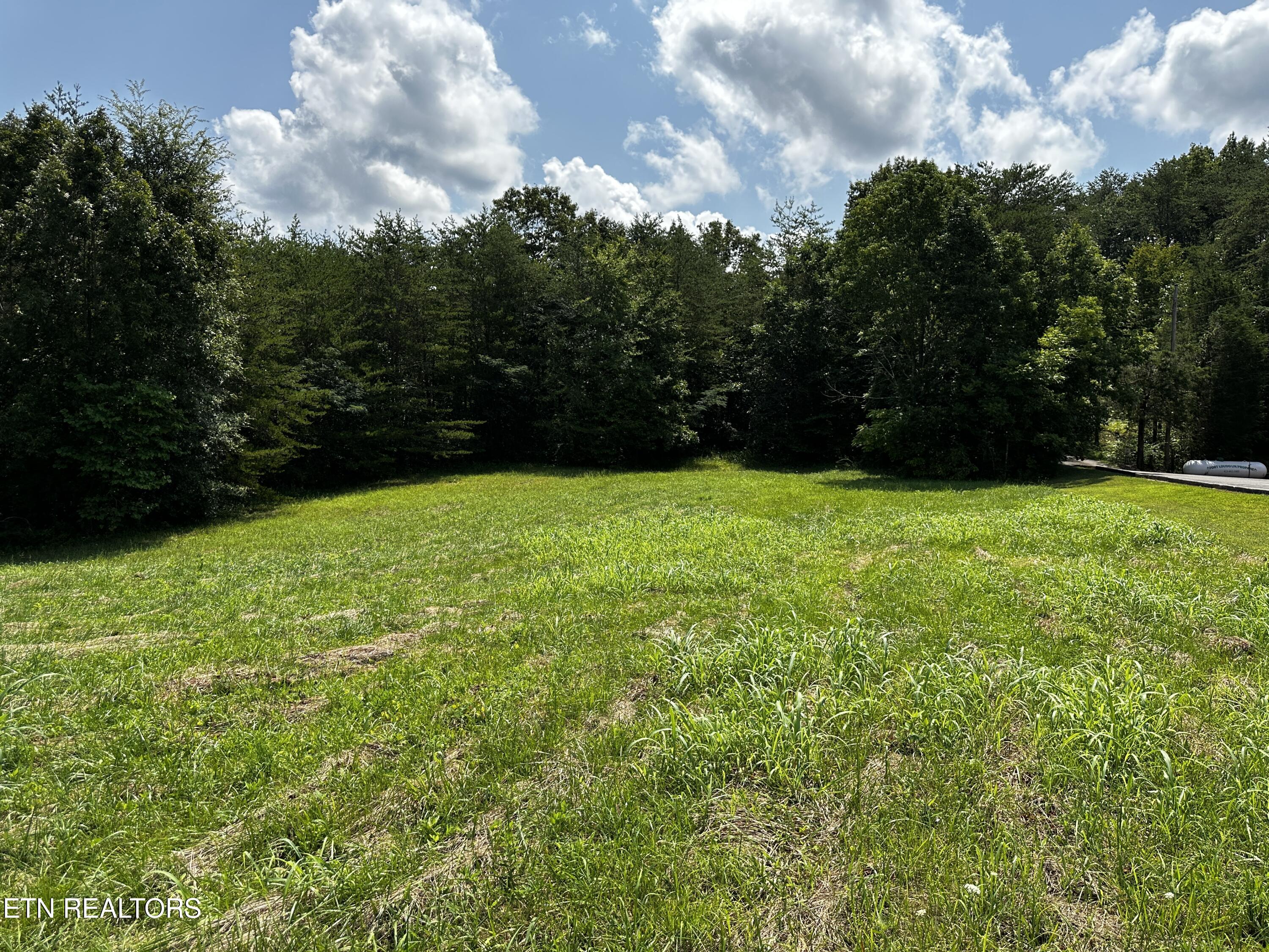 Blockhouse Road Maryville, TN 37803 - Photo 10 of 14 IMG_0671