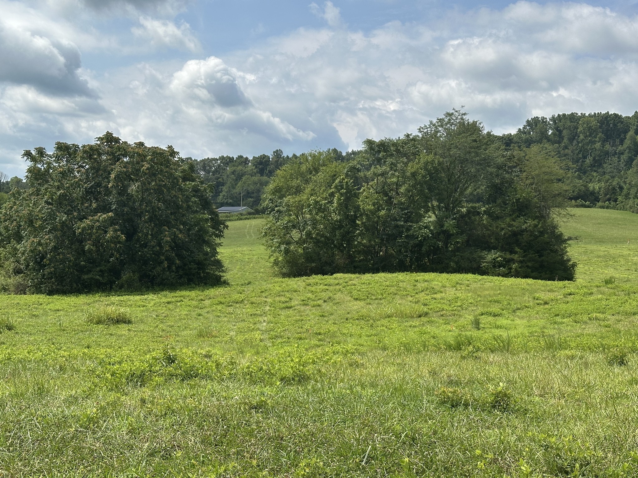 0 Plum Creek Road Sparta, TN 38583 - Photo 11 of 16 Gallery Image 11